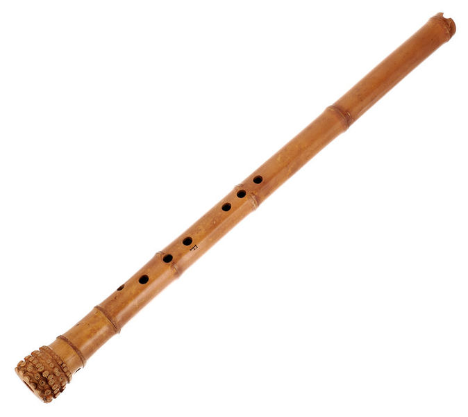 Taiwanese DongXiao Pro F-major Artino