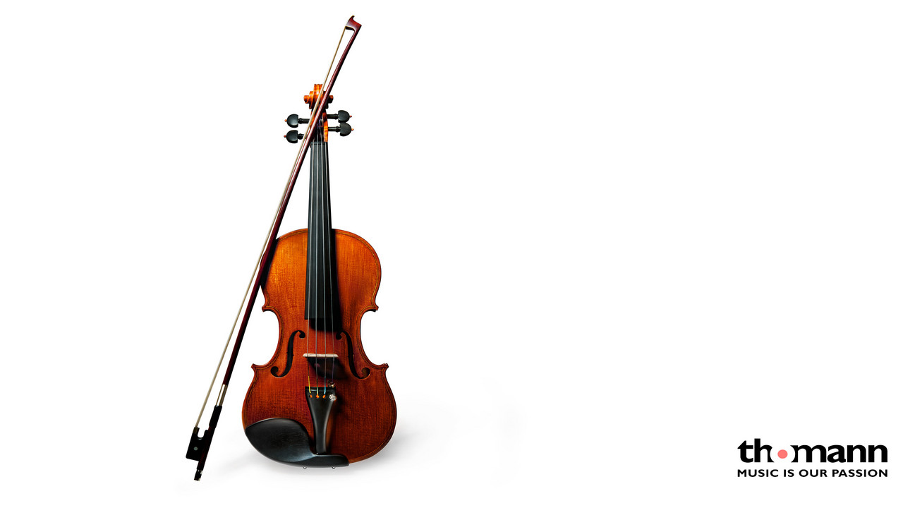 Roth & Junius RJVE 4/4 Master Violin Set