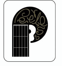 Peerless Guitars