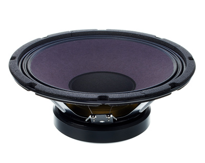 ragin cajun speaker 10