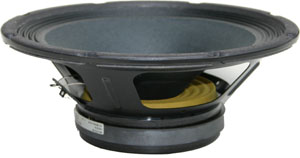 ampeg 10 inch replacement speakers