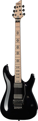 Schecter Loomis Schecter Loomis