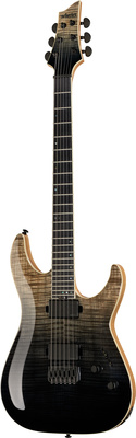 Schecter v Schecter v