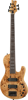 Marcus Miller (F10-5 NT)