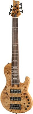 Marcus Miller (F10-6 NT)